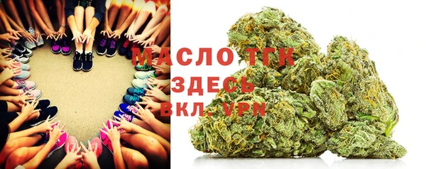 гашик Алексеевка