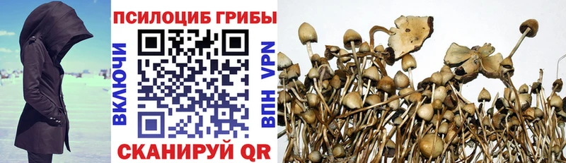 Псилоцибиновые грибы ЛСД  Бологое 